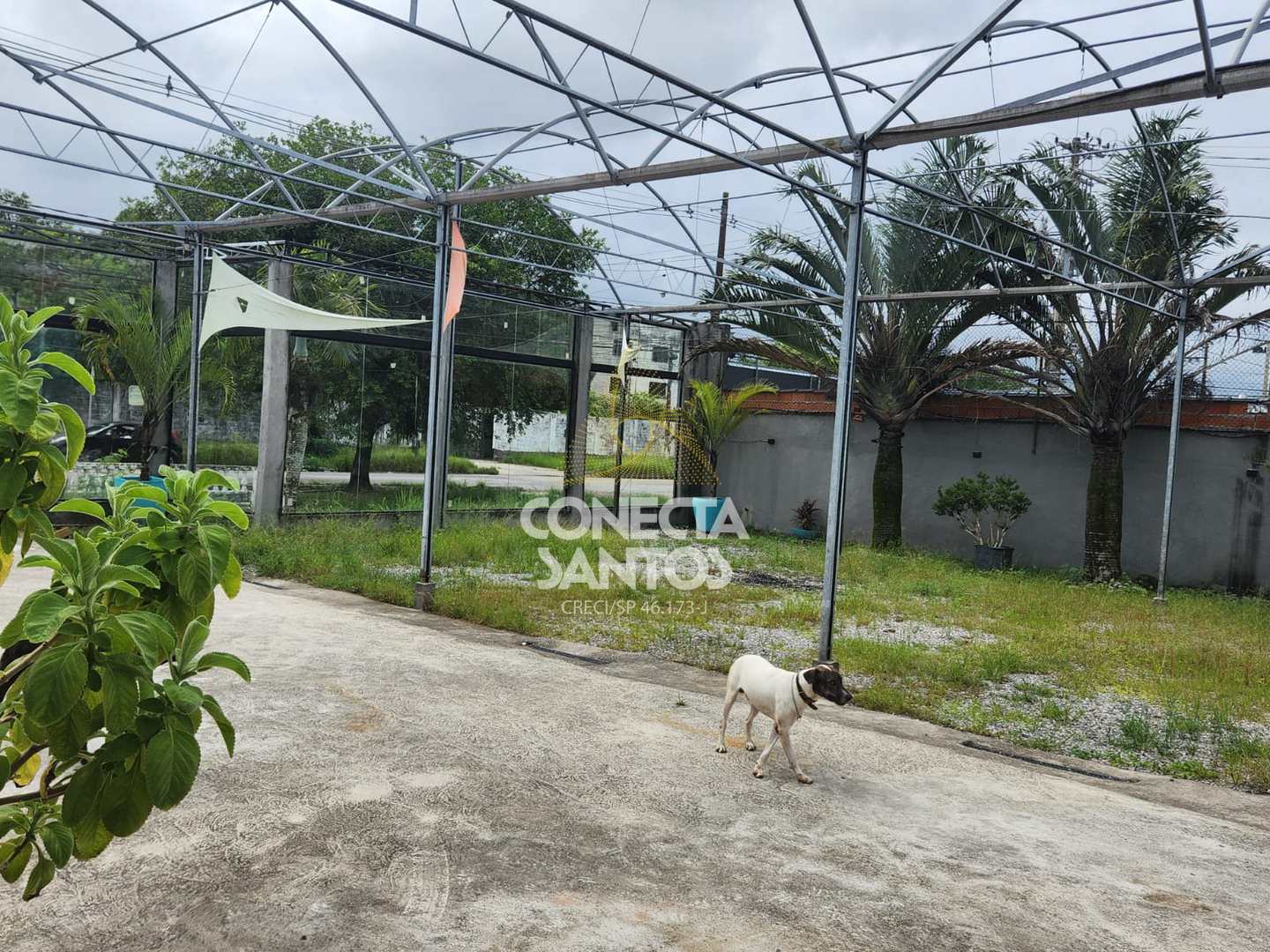 Loja-Salão para alugar, 800m² - Foto 20