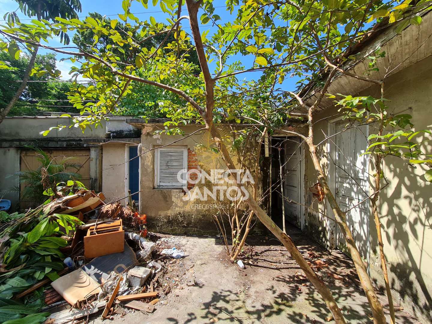 Casa à venda e aluguel com 4 quartos, 366m² - Foto 15