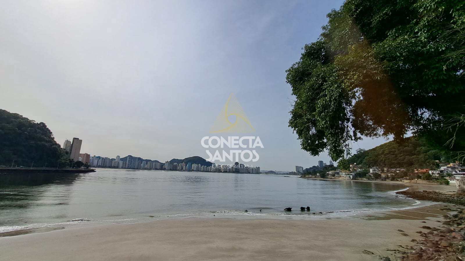 Apartamento à venda com 1 quarto, 41m² - Foto 33