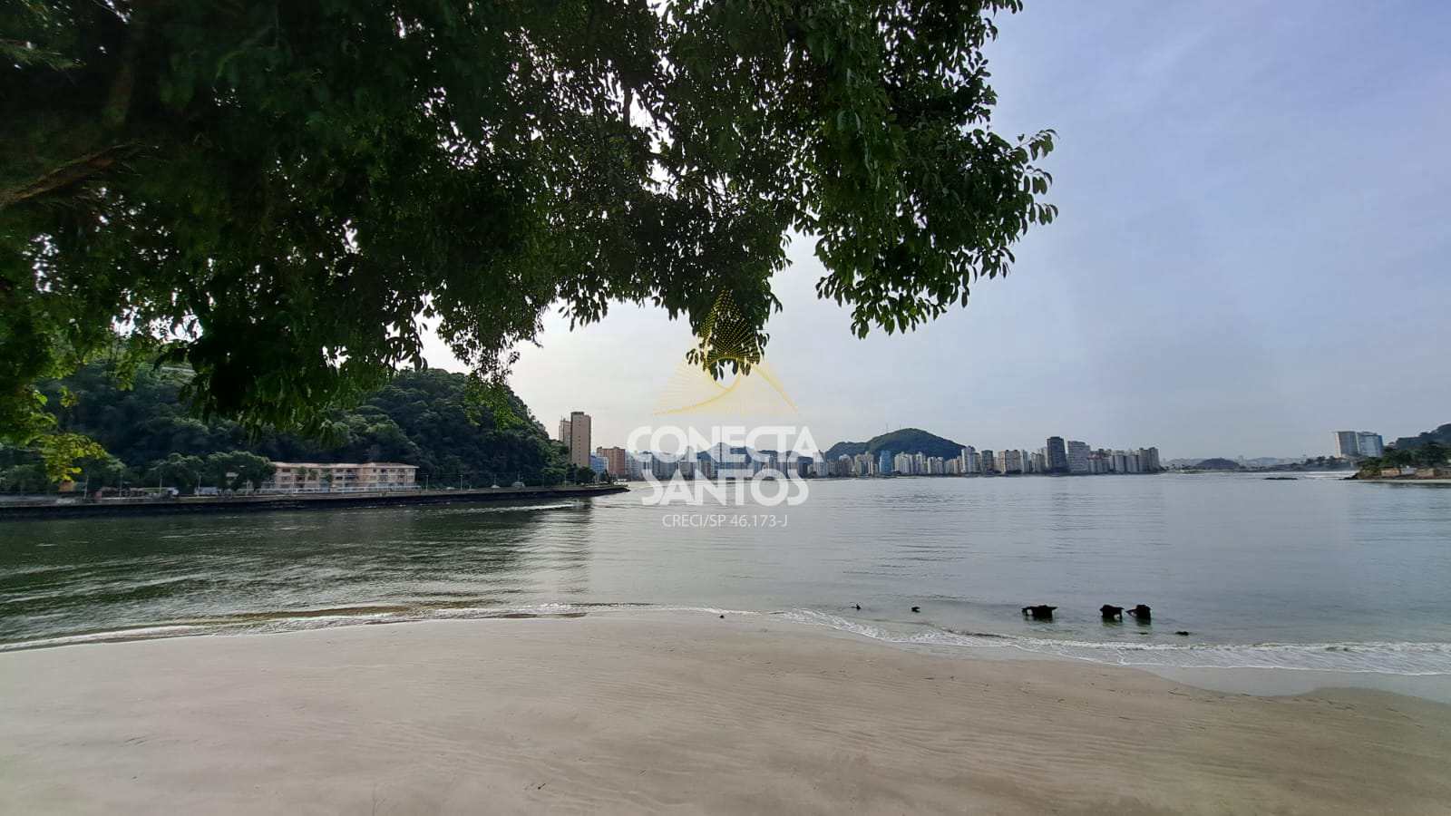Apartamento à venda com 1 quarto, 41m² - Foto 25