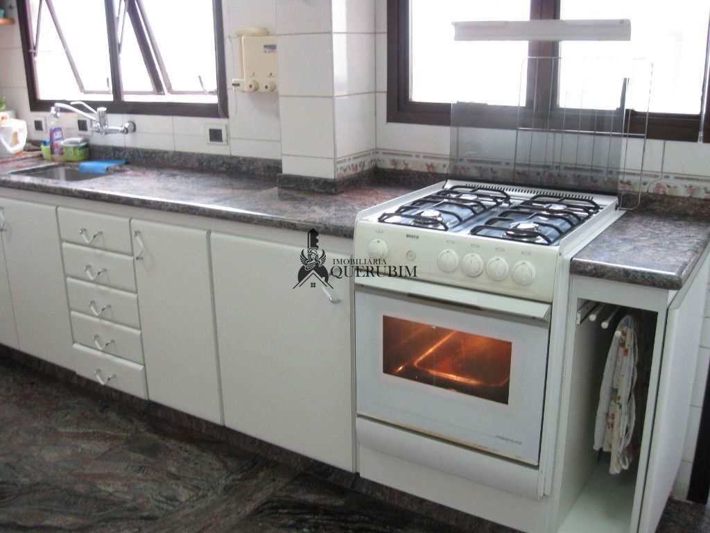 Cobertura à venda com 3 quartos, 250m² - Foto 9