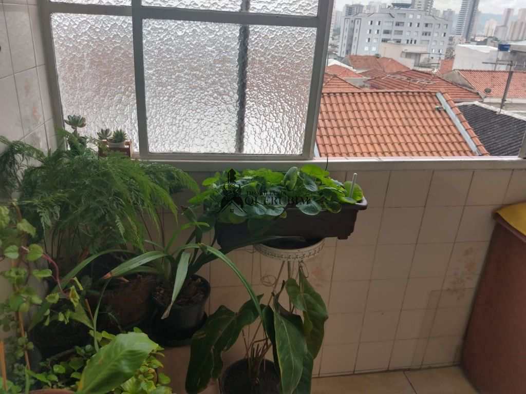 Apartamento, 1 quarto, 48 m² - Foto 3