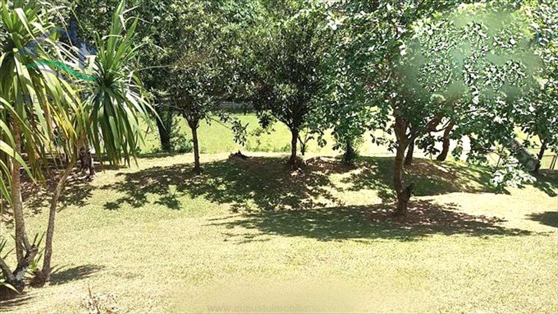 Fazenda à venda com 4 quartos, 600m² - Foto 23