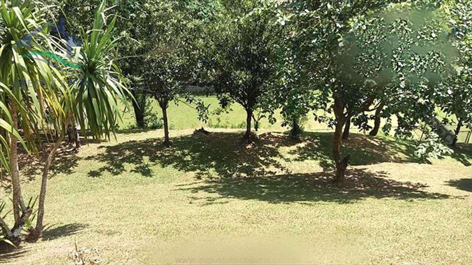 Fazenda à venda com 4 quartos, 600m² - Foto 25