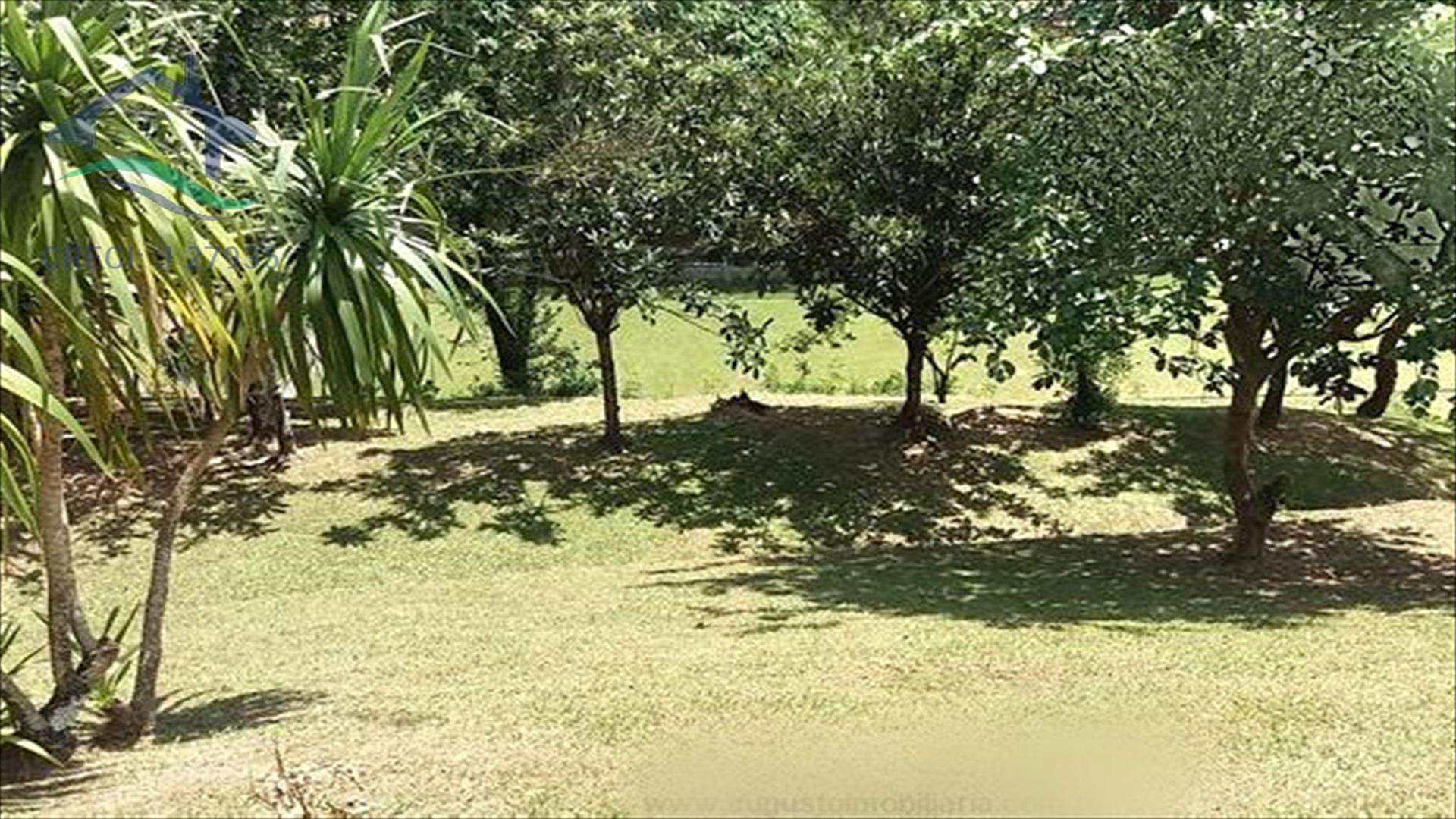 Fazenda à venda com 4 quartos, 600m² - Foto 24