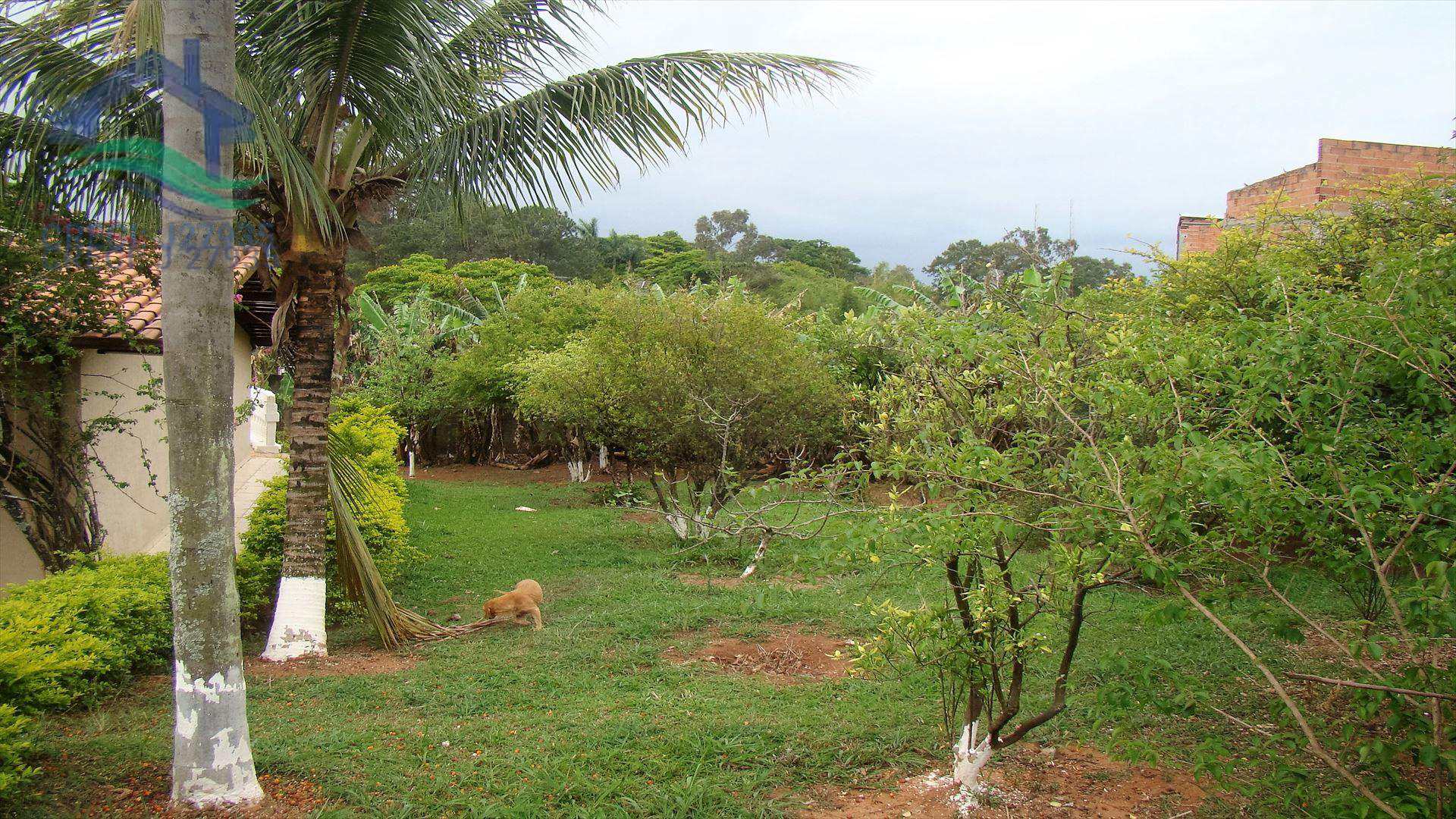 Fazenda à venda com 6 quartos, 300m² - Foto 4