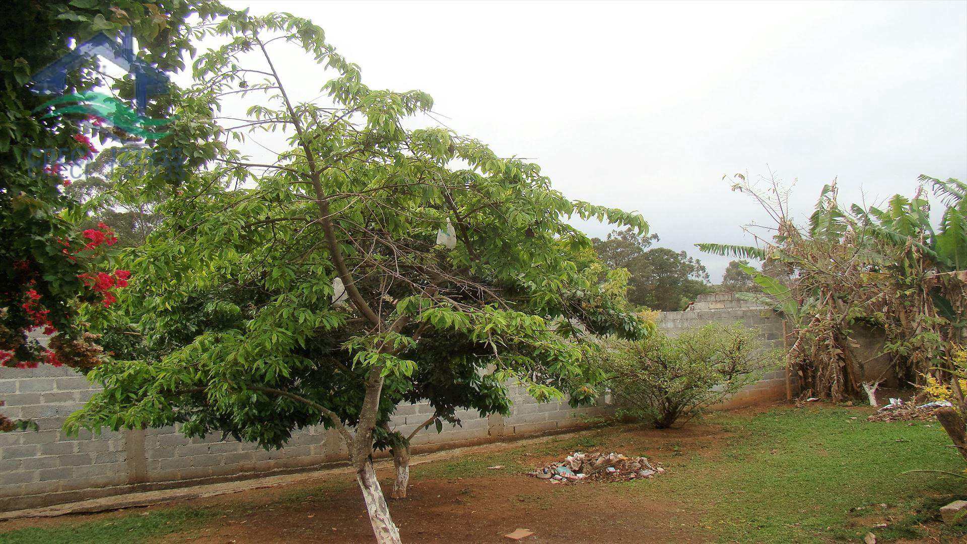 Fazenda à venda com 6 quartos, 300m² - Foto 25