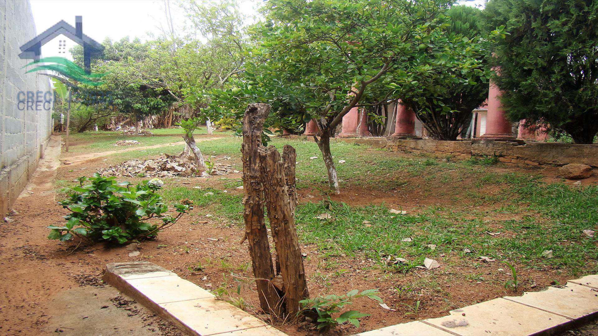 Fazenda à venda com 6 quartos, 300m² - Foto 23