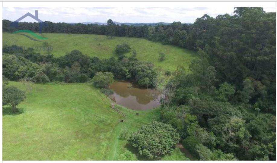 Fazenda à venda com 4 quartos, 300m² - Foto 5