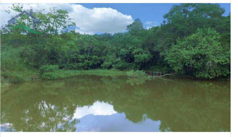 Fazenda à venda com 4 quartos, 300m² - Foto 4