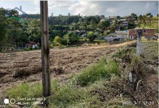 Terreno à venda, 1000m² - Foto 5