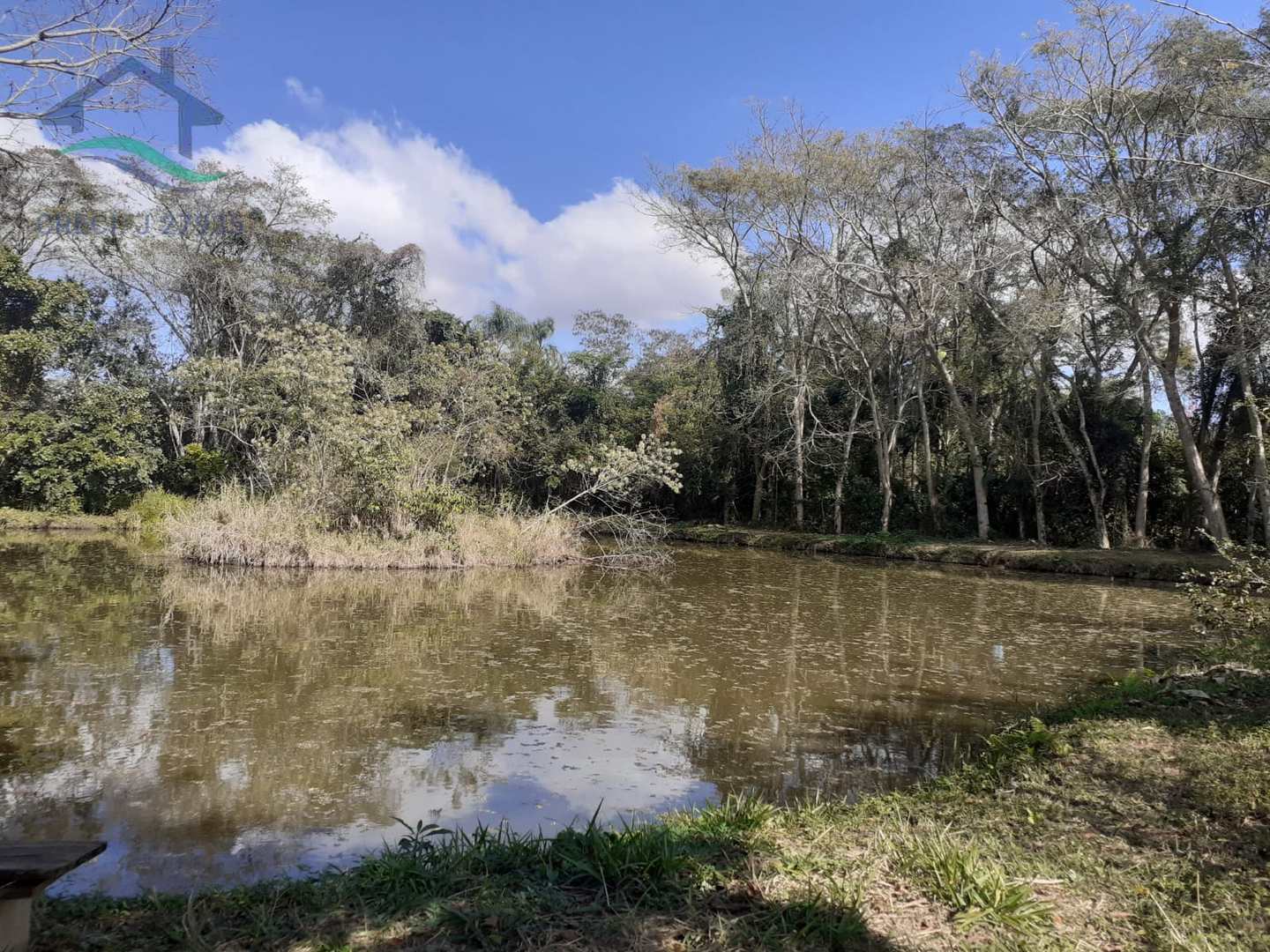 Fazenda à venda com 5 quartos, 400m² - Foto 49