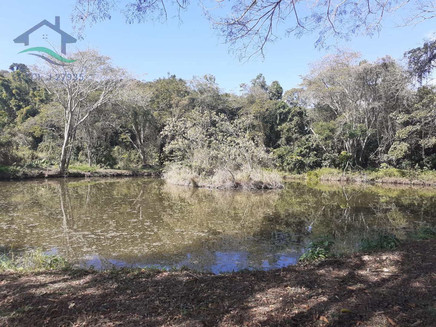 Fazenda à venda com 5 quartos, 400m² - Foto 47