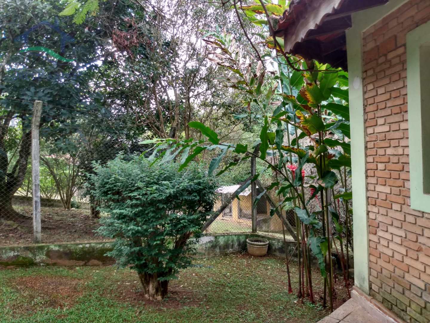 Fazenda à venda com 5 quartos, 800m² - Foto 21