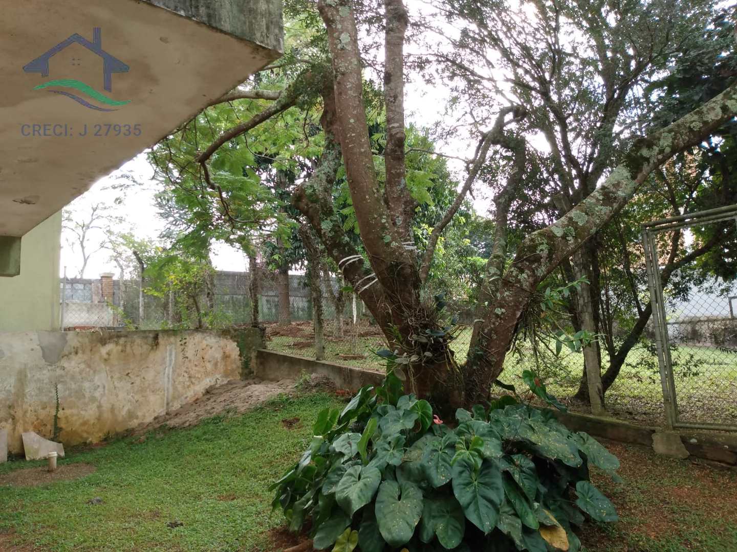 Fazenda à venda com 5 quartos, 800m² - Foto 22