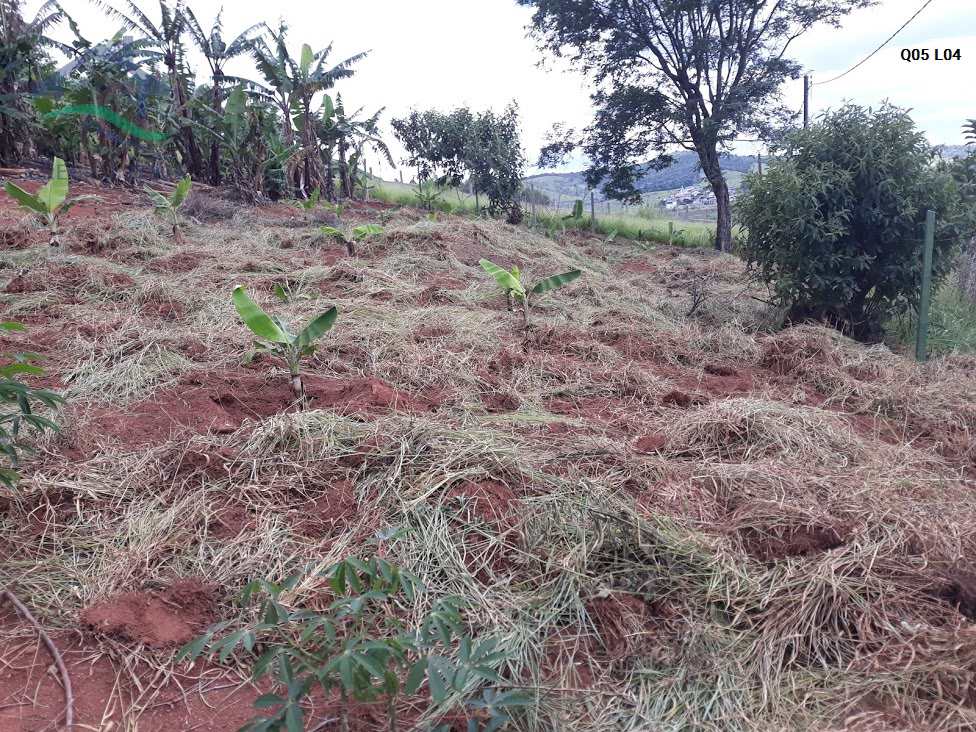 Terreno à venda, 2050m² - Foto 3