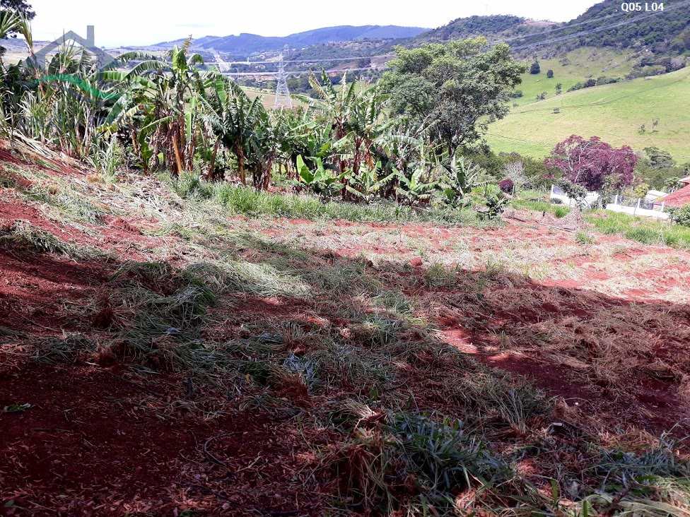 Terreno à venda, 2050m² - Foto 7