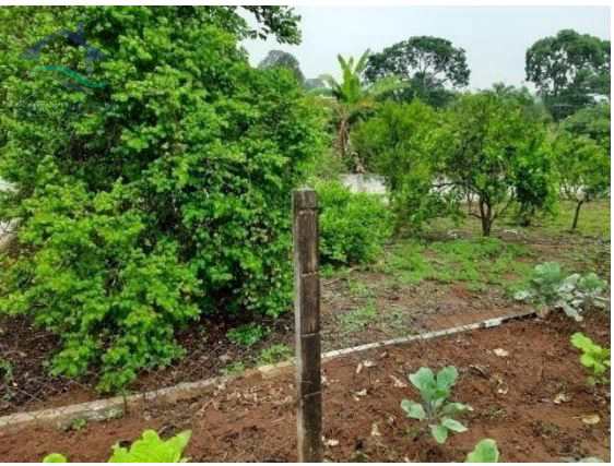 Fazenda à venda com 2 quartos, 200m² - Foto 20