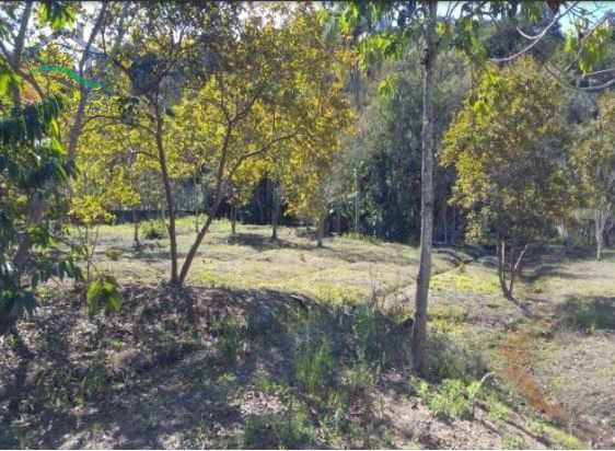 Fazenda à venda com 2 quartos, 200m² - Foto 19