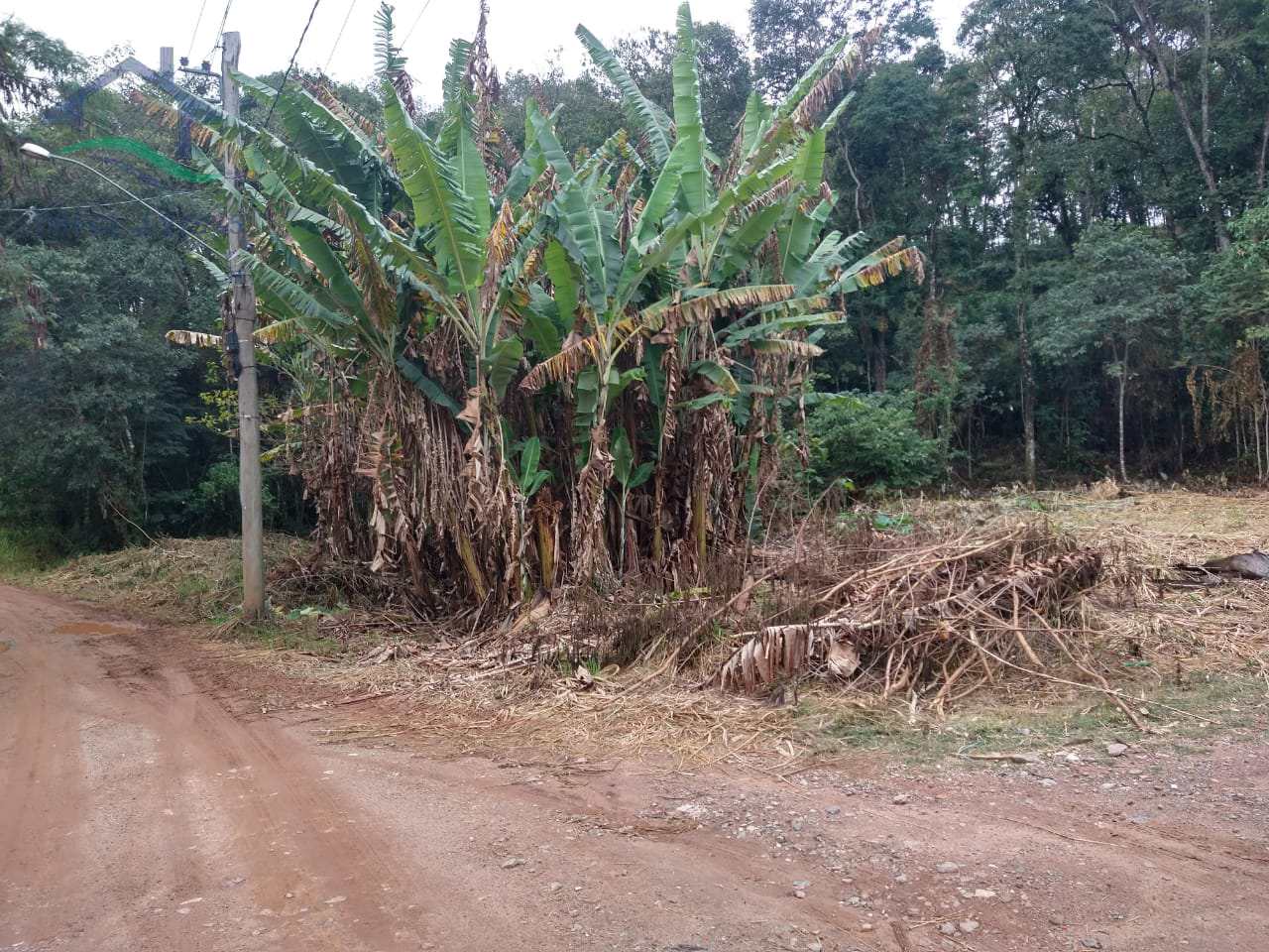 Terreno à venda, 1025m² - Foto 3