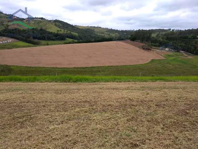 Terreno à venda, 110000m² - Foto 2