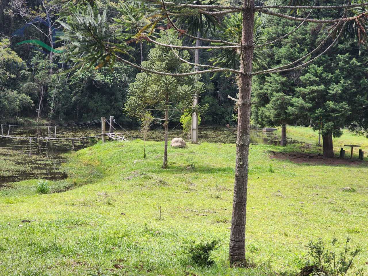 Fazenda à venda com 2 quartos, 532400m² - Foto 13