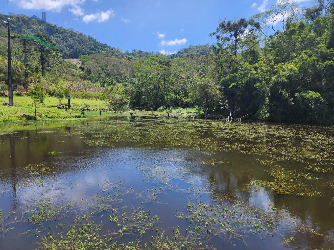 Fazenda à venda com 2 quartos, 532400m² - Foto 8