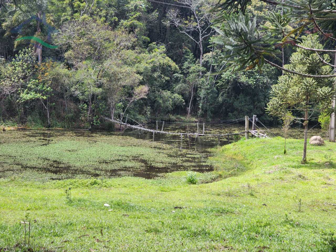 Fazenda à venda com 2 quartos, 532400m² - Foto 16