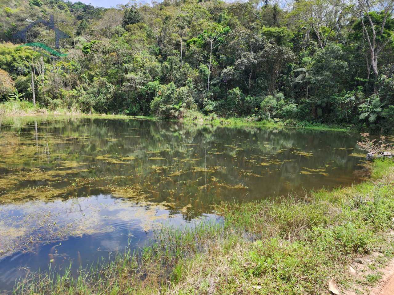 Fazenda à venda com 2 quartos, 532400m² - Foto 17