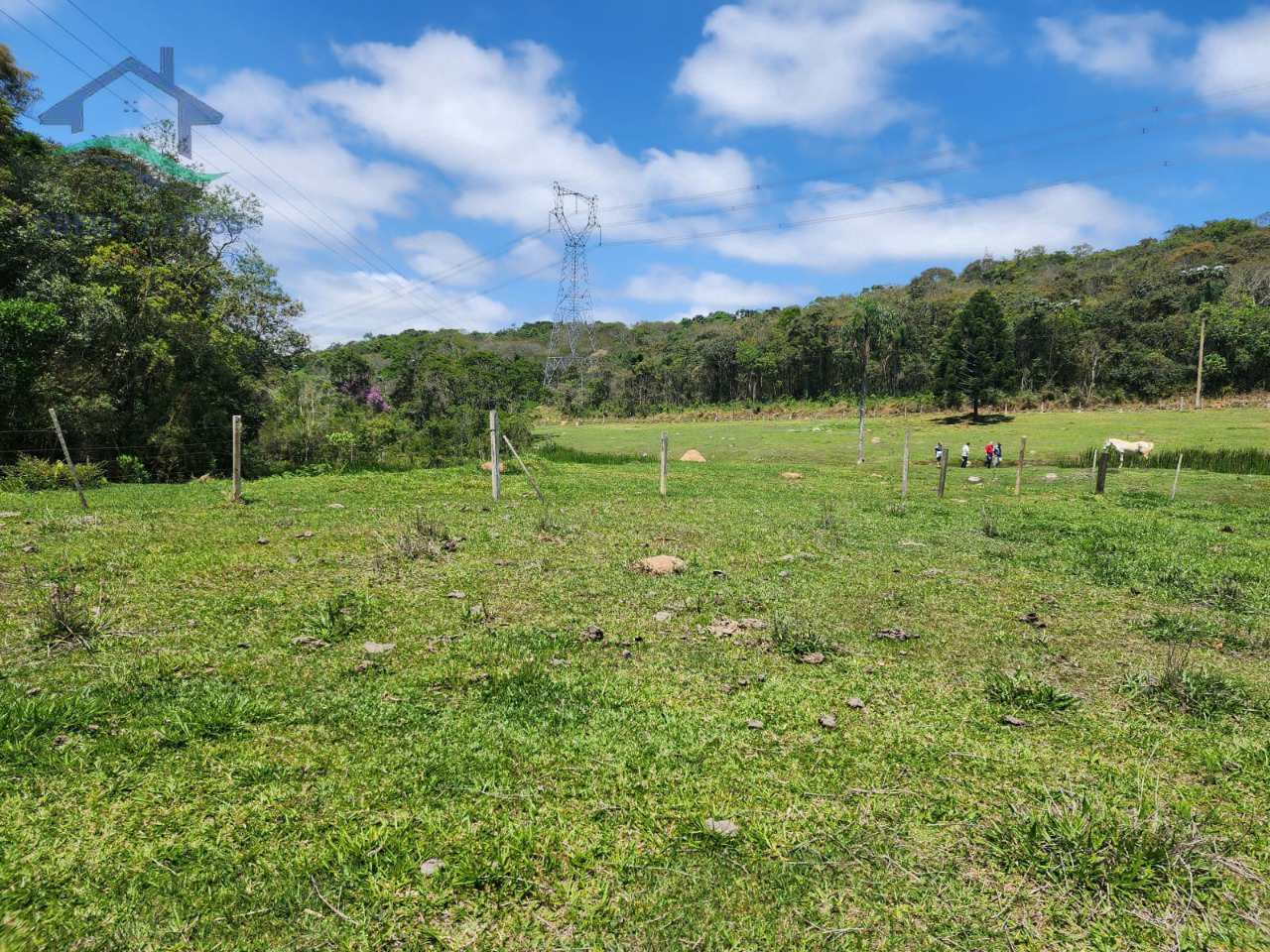 Fazenda à venda com 2 quartos, 532400m² - Foto 3