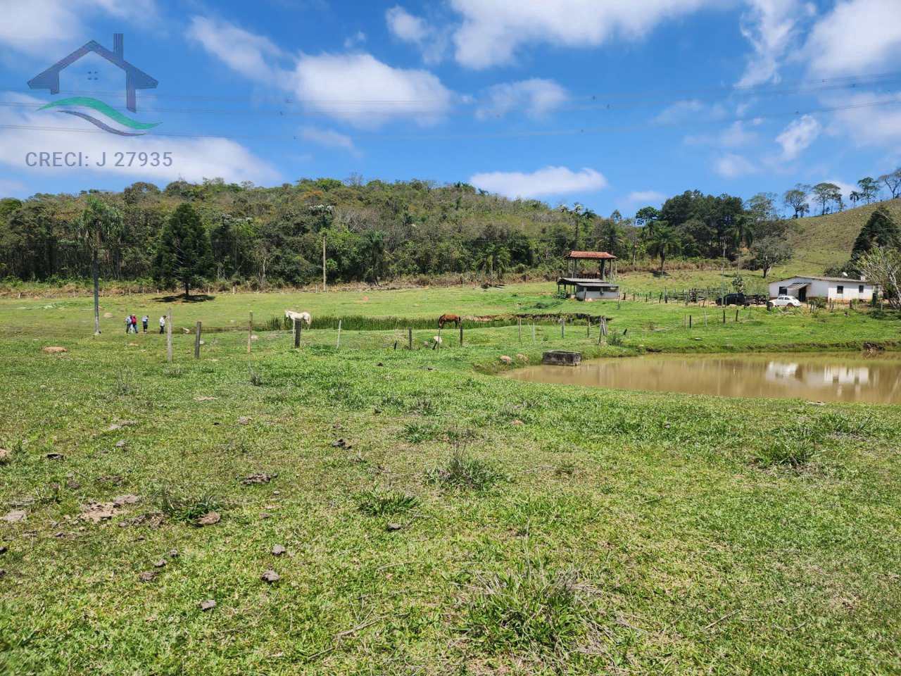 Fazenda à venda com 2 quartos, 532400m² - Foto 7