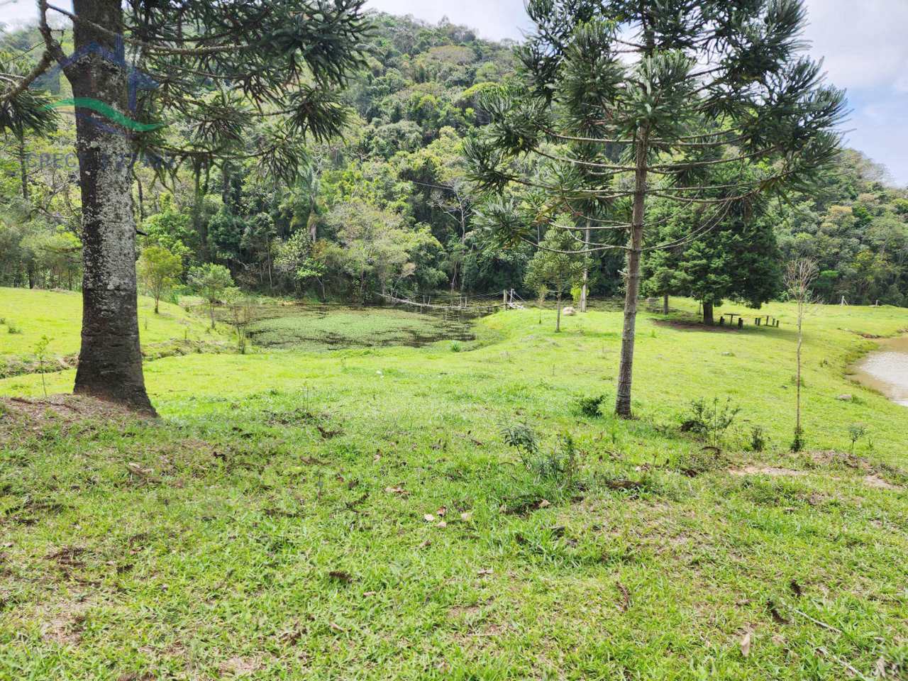 Fazenda à venda com 2 quartos, 532400m² - Foto 6