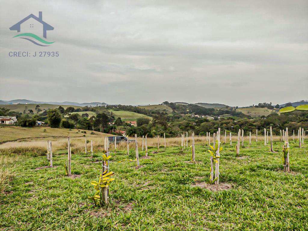 Fazenda à venda com 3 quartos, 72600m² - Foto 20