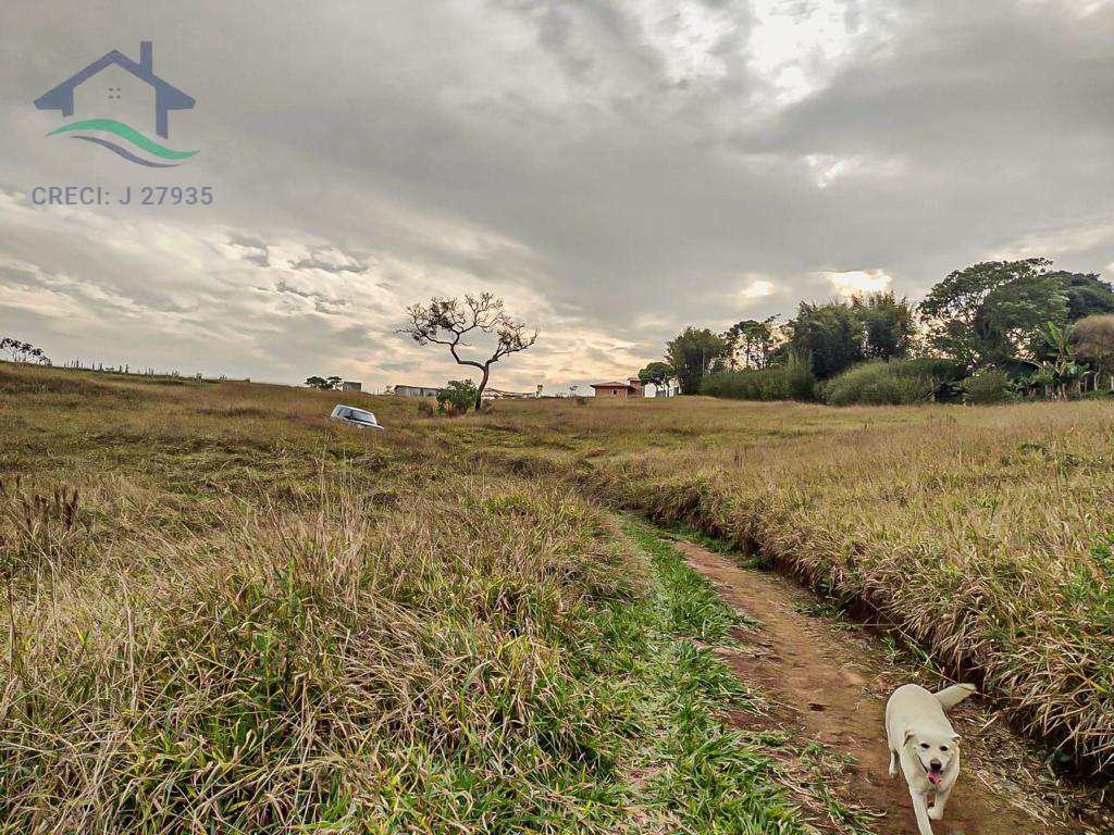 Fazenda à venda com 3 quartos, 72600m² - Foto 14