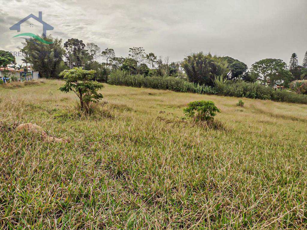 Fazenda à venda com 3 quartos, 72600m² - Foto 31