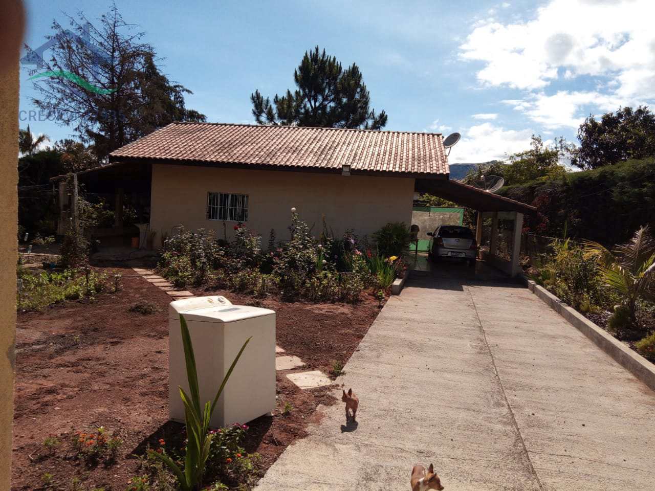 Fazenda à venda com 4 quartos, 110m² - Foto 36