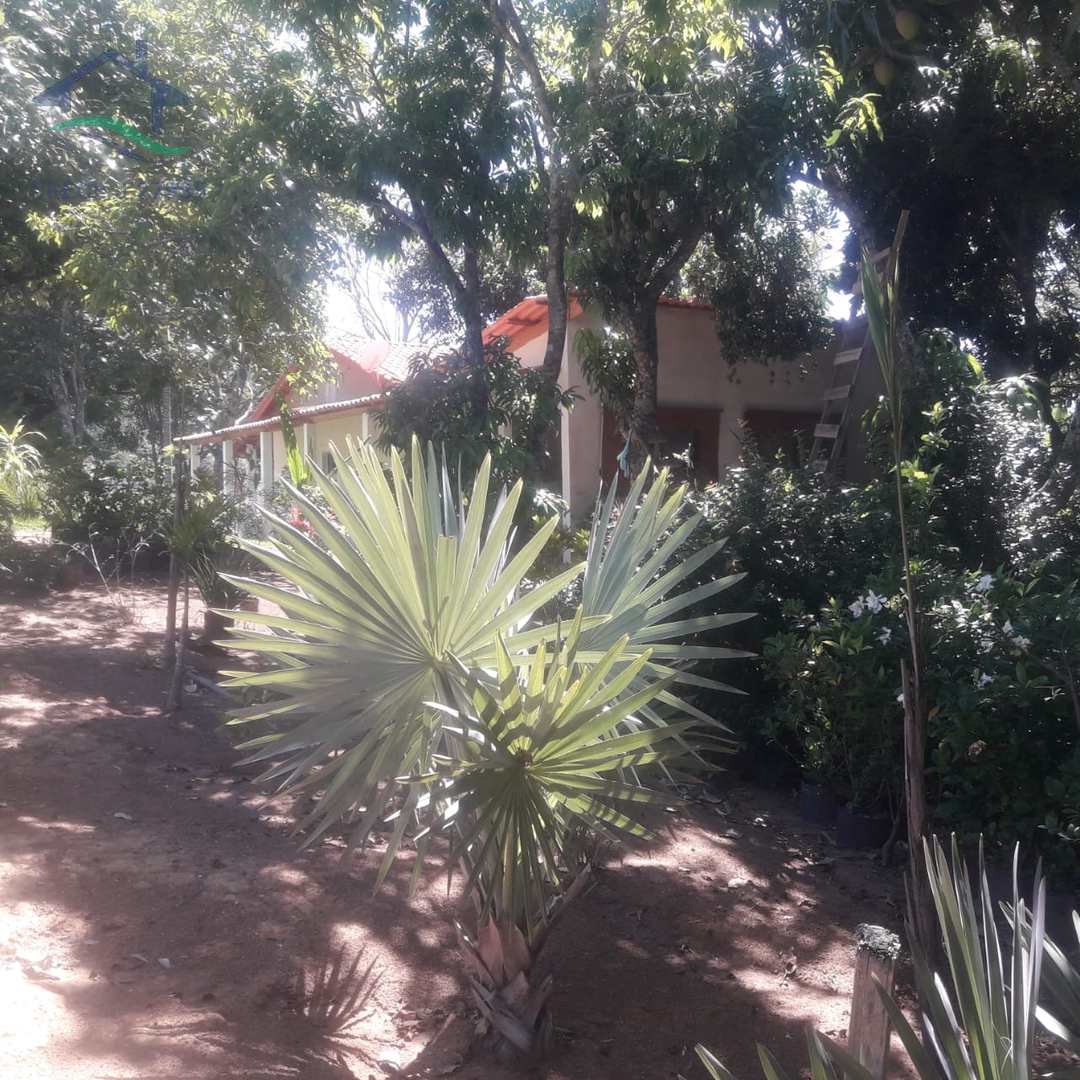 Fazenda à venda com 2 quartos, 130m² - Foto 55