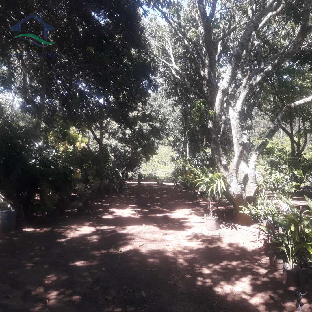 Fazenda à venda com 2 quartos, 130m² - Foto 54