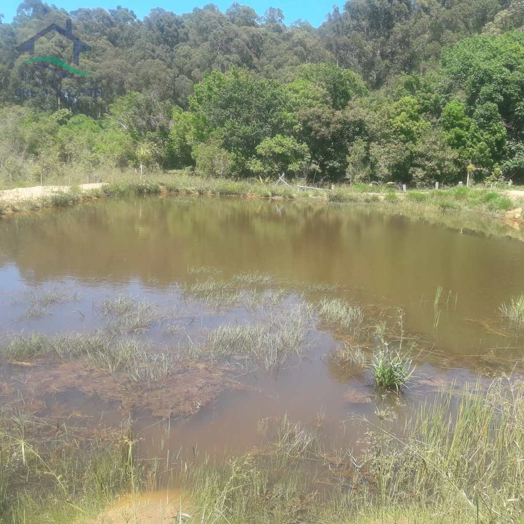 Fazenda à venda com 2 quartos, 130m² - Foto 32