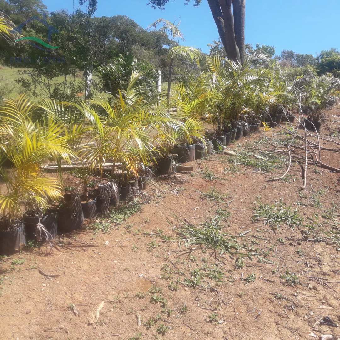 Fazenda à venda com 2 quartos, 130m² - Foto 52