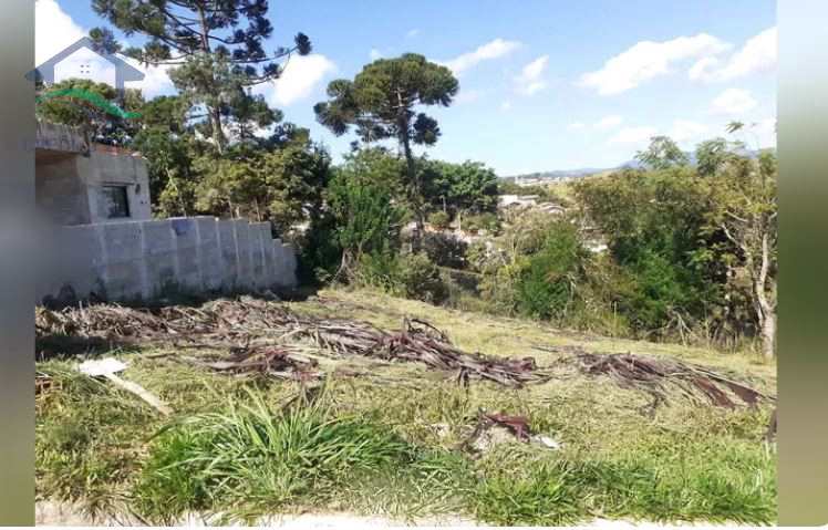 Terreno à venda, 336m² - Foto 8