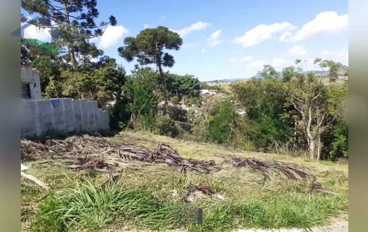 Terreno à venda, 336m² - Foto 4