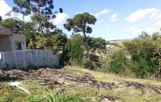 Terreno à venda, 336m² - Foto 3