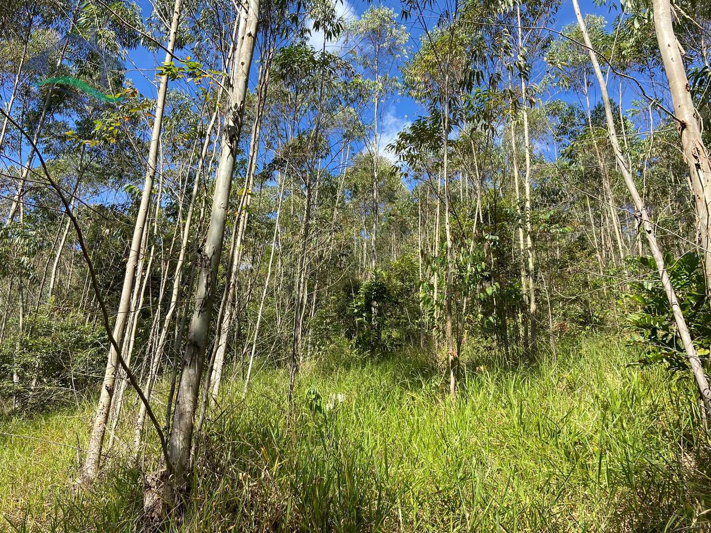 Terreno à venda, 205700m² - Foto 4