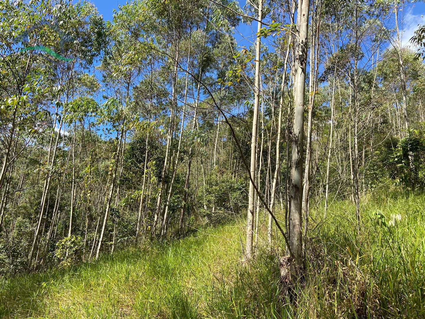 Terreno à venda, 205700m² - Foto 5