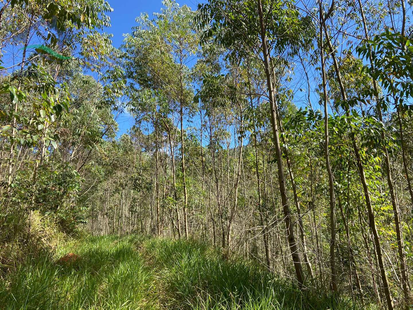 Terreno à venda, 205700m² - Foto 8