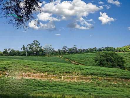 Terreno à venda, 20535m² - Foto 3