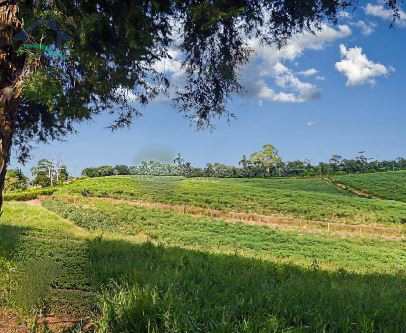 Terreno à venda, 20535m² - Foto 2