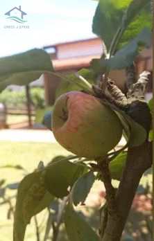 Fazenda à venda com 4 quartos, 5664m² - Foto 16