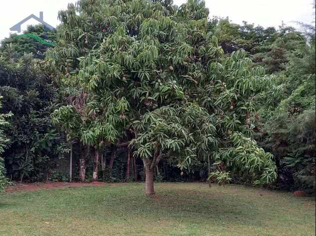 Fazenda à venda com 4 quartos, 5664m² - Foto 17